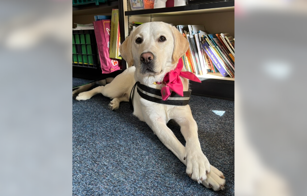 Angel supports Woodland Elementary School