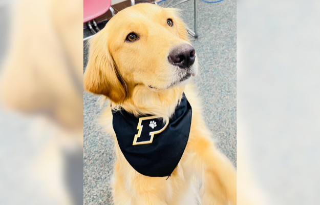 Aspen supports Toth Elementary School