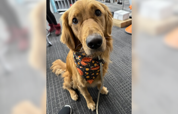 Kincaid supports Hull Prairie Intermediate School