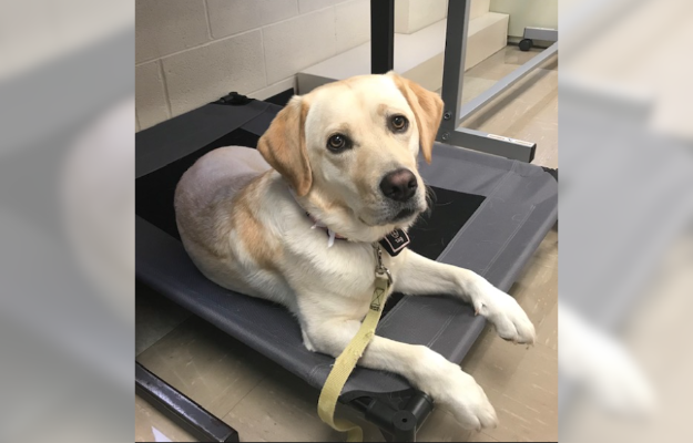 Salts supports Perrysburg Junior High School