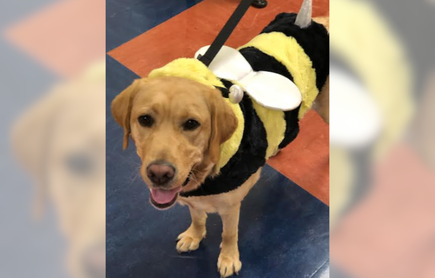 Taft supports Perrysburg High School